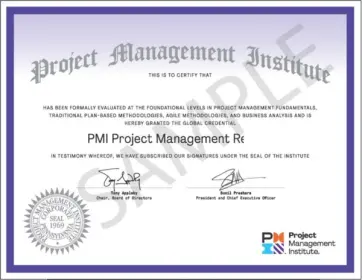 PMI Project Management Ready™ (PMR)