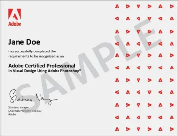 Adobe® Certified Professional (ACP)