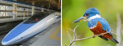 Biyomimetik: Doğadan İlham Alan İnovasyon