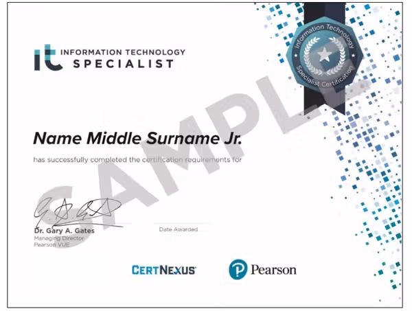 Information Technology (IT) Specialist (ITS)