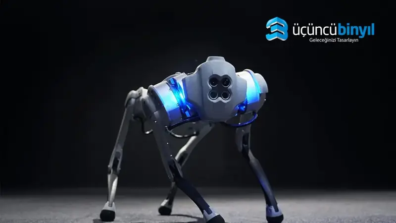 Yapay Zeka Tabanlı Robot Köpek Programlama Kursu: Python ve C++ ile Geleceğin Teknolojilerini Öğrenin