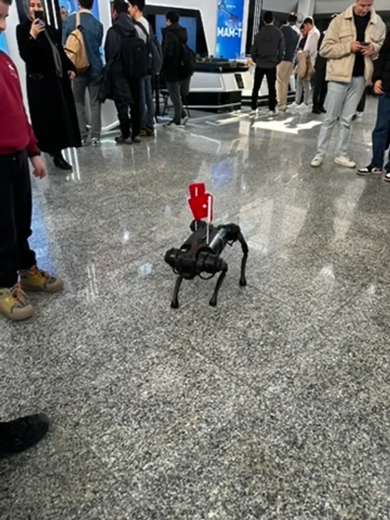 robot köpek