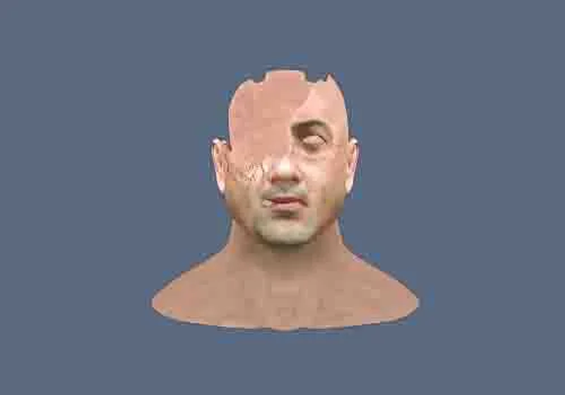zbrush ve anatomi