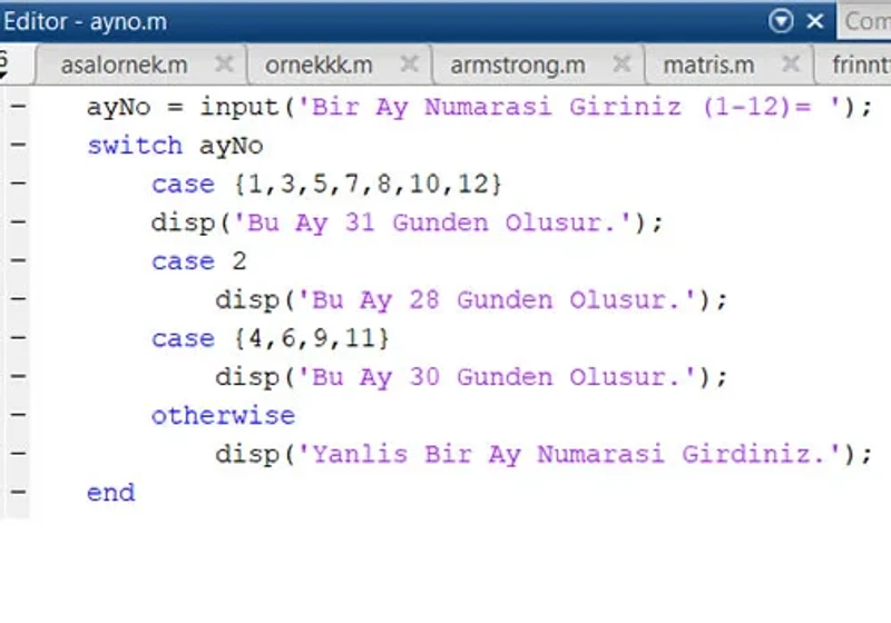 programlamaya giriş